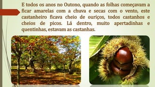 E todos os anos no Outono, quando as folhas começavam a
ficar amarelas com a chuva e secas com o vento, este
castanheiro ficava cheio de ouriços, todos castanhos e
cheios de picos. Lá dentro, muito apertadinhas e
quentinhas, estavam as castanhas.
 