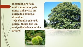 O castanheiro ficou
muito admirado, pois
nunca tinha visto um
ouriço tão bonito, e
disse-lhe:
- Que bonito que tu és
ouriço! Nunca tive um
ouriço tão belo na minha
árvore!
 