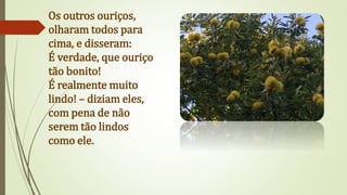 Os outros ouriços,
olharam todos para
cima, e disseram:
É verdade, que ouriço
tão bonito!
É realmente muito
lindo! – diziam eles,
com pena de não
serem tão lindos
como ele.
 