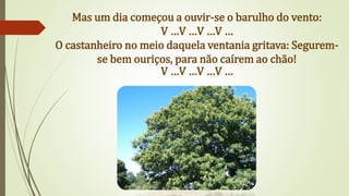 Mas um dia começou a ouvir-se o barulho do vento:
V …V …V …V …
O castanheiro no meio daquela ventania gritava: Segurem-
se bem ouriços, para não caírem ao chão!
V …V …V …V …
 