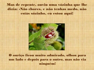Mas de repente, ouviu uma vózinha que lhe
dizia: -Não chores, e não tenhas medo, não
estás sózinho, eu estou aqui!
O ouriço ficou muito admirado, olhou para
um lado e depois para o outro, mas não via
ninguém!
 
