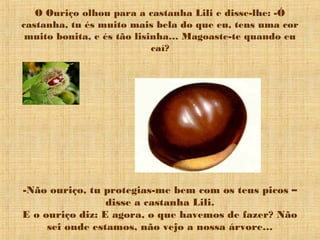 O Ouriço olhou para a castanha Lili e disse-lhe: -Ó
castanha, tu és muito mais bela do que eu, tens uma cor
muito bonita, e és tão lisinha… Magoaste-te quando eu
caí?
-Não ouriço, tu protegias-me bem com os teus picos –
disse a castanha Lili.
E o ouriço diz: E agora, o que havemos de fazer? Não
sei onde estamos, não vejo a nossa árvore…
 