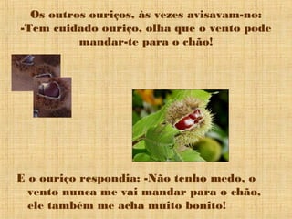 Os outros ouriços, às vezes avisavam-no:
-Tem cuidado ouriço, olha que o vento pode
mandar-te para o chão!
E o ouriço respondia: -Não tenho medo, o
vento nunca me vai mandar para o chão,
ele também me acha muito bonito!
 