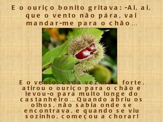 E o ouriço bonito gritava: -Ai, ai, que o vento não pára, vai mandar-me para o chão… E o vento, cada vez mais forte, atirou o ouriço para o chão e levou-o para muito longe do castanheiro… Quando abriu os olhos, não sabia onde se encontrava, e quando se viu sozinho, começou a chorar! 