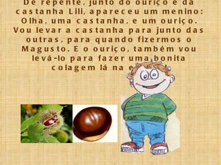 De repente, junto do ouriço e da castanha Lili, apareceu um menino: Olha, uma castanha, e um ouriço. Vou levar a castanha para junto das outras, para quando fizermos o Magusto. E o ouriço, também vou levá-lo para fazer uma bonita colagem lá na escola! 