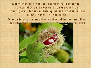 Num belo ano, durante o Outono, quando estavam a crescer os ouriços, houve um que nasceu lá no alto, bem lá no alto… O ouriço era muito redondinho, muito brilhante quando chovia, e tinha uns picos muito afiados. 