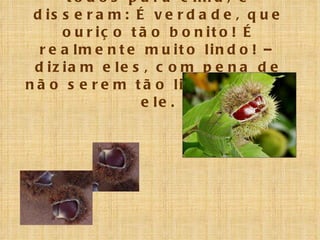 Os outros ouriços, olharam todos para cima, e disseram: É verdade, que ouriço tão bonito! É realmente muito lindo! – diziam eles, com pena de não serem tão lindos como ele. 