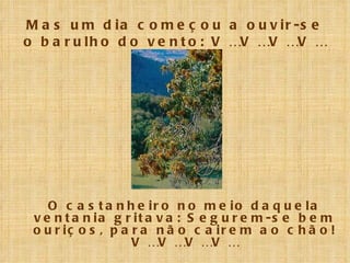 Mas um dia começou a ouvir-se o barulho do vento: V …V …V …V … O castanheiro no meio daquela ventania gritava: Segurem-se bem ouriços, para não cairem ao chão! V …V …V …V … 
