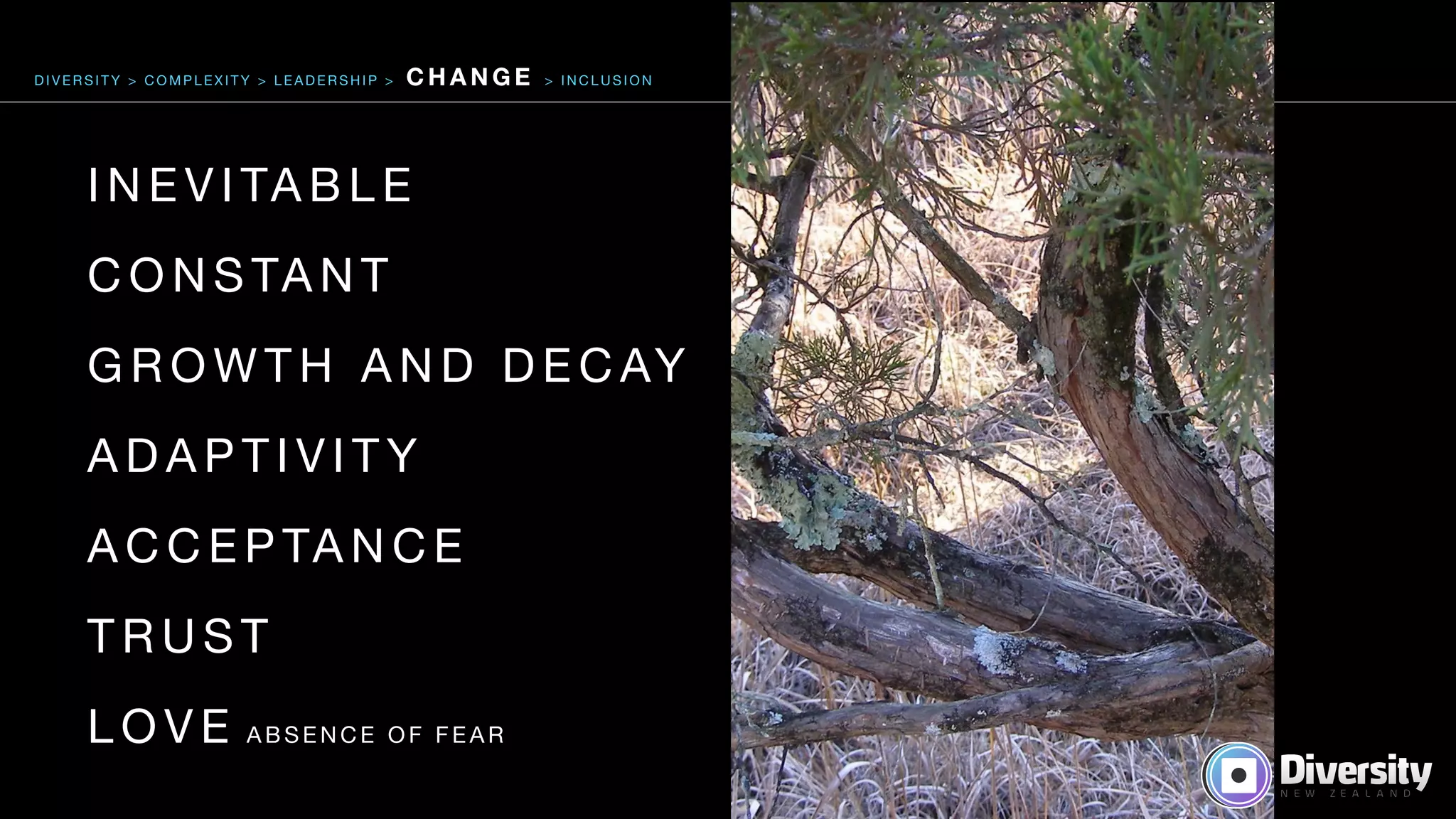 I N E V I TA B L E 

C O N S TA N T 

G R O W T H A N D D E C AY 

A D A P T I V I T Y 

A C C E P TA N C E 

T R U S T 

L O V E A B S E N C E O F F E A R
D I V E R S I T Y > C O M P L E X I T Y > L E A D E R S H I P > C H A N G E > I N C L U S I O N
 