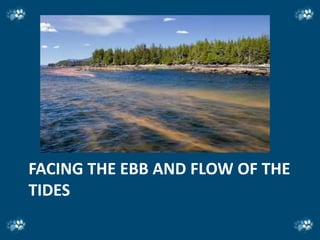 FACING THE EBB AND FLOW OF THE
TIDES
 
