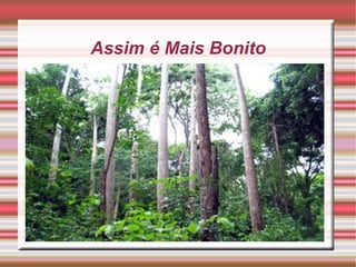 Assim é Mais Bonito Resuma as principais características e vantagens do produto a ser apresentado 