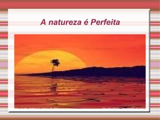 A natureza é Perfeita 