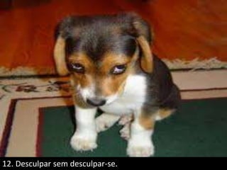 12. Desculpar sem desculpar-se.
 