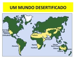 UM MUNDO DESERTIFICADO
 