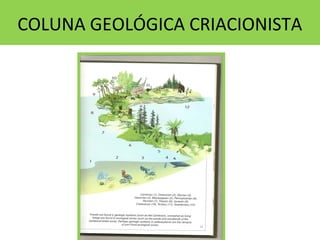 COLUNA GEOLÓGICA CRIACIONISTA
 
