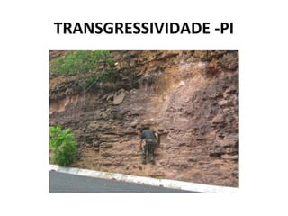 TRANSGRESSIVIDADE -PI
 