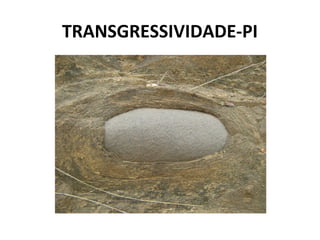 TRANSGRESSIVIDADE-PI
 