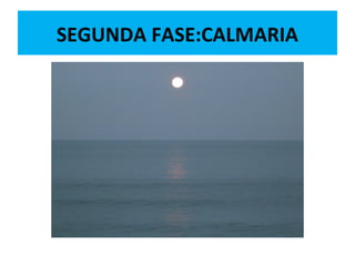 SEGUNDA FASE:CALMARIA
 