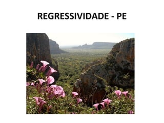REGRESSIVIDADE - PE
 