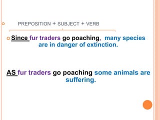 PREPOSITION + SUBJECT + VERB
Since fur traders go poaching, many species
are in danger of extinction.
AS fur traders go poaching some animals are
suffering.