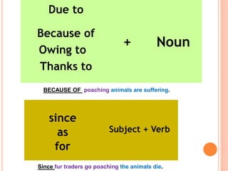 Due to
+ Noun
Because of
Owing to
Thanks to
Subject + Verb
since
as
for
BECAUSE OF poaching animals are suffering.
Since fur traders go poaching the animals die.