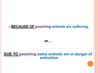  BECAUSE OF poaching animals are suffering.
or…
DUE TO poaching some animals are in danger of
extinction.