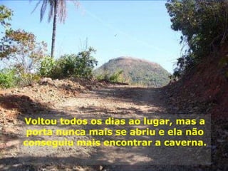 Voltou todos os dias ao lugar, mas a porta nunca mais se abriu e ela não conseguiu mais encontrar a caverna. 