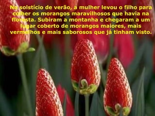 No solstício de verão, a mulher levou o filho para colher os morangos maravilhosos que havia na floresta. Subiram a montanha e chegaram a um lugar coberto de morangos maiores, mais vermelhos e mais saborosos que já tinham visto. 