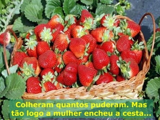 Colheram quantos puderam. Mas tão logo a mulher encheu a cesta...  