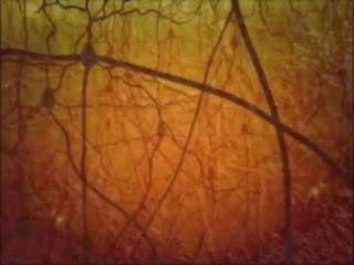 AuthorCrowdsourcing isn’t new