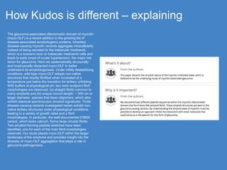 How Kudos is different – explaining
The glaucoma-associated olfactomedin domain of myocilin
(myoc-OLF) is a recent addition to the growing list of
disease-associated amyloidogenic proteins. Inherited,
disease-causing myocilin variants aggregate intracellularly
instead of being secreted to the trabecular meshwork,
which is a scenario toxic to trabecular meshwork cells and
leads to early onset of ocular hypertension, the major risk
factor for glaucoma. Here we systematically structurally
and biophysically dissected myoc-OLF to better
understand its amyloidogenesis. Under mildly destabilizing
conditions, wild-type myoc-OLF adopts non-native
structures that readily fibrillize when incubated at a
temperature just below the transition for tertiary unfolding.
With buffers at physiological pH, two main endpoint fibril
morphologies are observed: (a) straight fibrils common to
many amyloids and (b) unique micron-length, ~ 300 nm or
larger diameter, species that lasso oligomers, which also
exhibit classical spectroscopic amyloid signatures. Three
disease-causing variants investigated herein exhibit non-
native tertiary structures under physiological conditions,
leading to a variety of growth rates and a fibril
morphologies. In particular, the well-documented D380A
variant, which lacks calcium, forms large circular fibrils.
Two amyloid-forming peptide stretches have been
identified, one for each of the main fibril morphologies
observed. Our study places myoc-OLF within the larger
landscape of the amylome and provides insight into the
diversity of myoc-OLF aggregation that plays a role in
glaucoma pathogenesis.
 