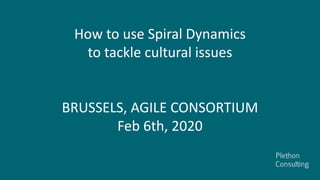 How to use Spiral Dynamics
to tackle cultural issues
BRUSSELS, AGILE CONSORTIUM
Feb 6th, 2020
 