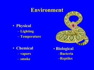 Environment
• Physical
– Lighting
– Temperature
• Chemical
– vapors
– smoke
• Biological
–Bacteria
–Reptiles
 