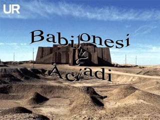 Babilonesi  &  Accadi 