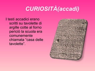CURIOSITÀ(accadi) I testi accadici erano scritti su tavolette di argille cotte al forno periciò la scuola era comunemente chiamata “casa delle tavolette”. 