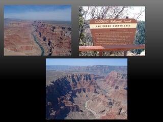 Accao Geologica De Um Rio