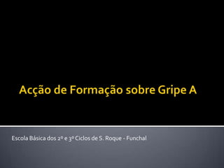 Acção de Formação sobre Gripe A Escola Básica dos 2º e 3º Ciclos de S. Roque - Funchal 