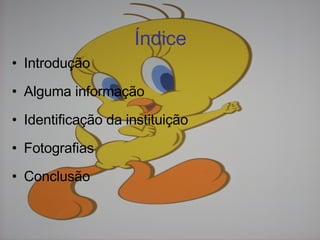 Introdução Alguma informação Identificação da instituição Fotografias Conclusão Índice 