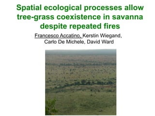 Spatial ecological processes allow
tree-grass coexistence in savanna
despite repeated fires
Francesco Accatino, Kerstin Wiegand,
Carlo De Michele, David Ward
 
