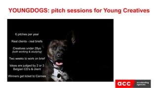 YOUNGDOGS: pitch sessions for Young Creatives
6 pitches per year
Real clients - real briefs
Creatives under 28yo
(both working & studying)
Two weeks to work on brief
Ideas are judged by 2 or 3
Belgian CD’s & client
Winners get ticket to Cannes
 