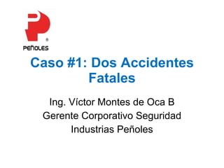 Caso #1: Dos Accidentes Fatales Ing. Víctor Montes de Oca B Gerente Corporativo Seguridad Industrias Peñoles 