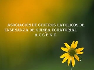 AsociAción de centros cAtólicos de
enseÑAnZA de GuineA ecuAtoriAl
A.c.c.e.G.e.
 