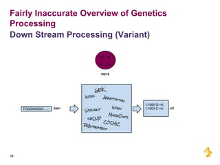 Fairly Inaccurate Overview of Genetics
Processing
Down Stream Processing (Variant)

HG19

13

 