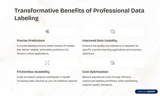 Data Labeling Services | AI Data Labeling Company | PDF