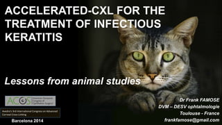 ACCELERATED-CXL FOR THE 
TREATMENT OF INFECTIOUS 
KERATITIS 
Lessons from animal studies 
Dr Frank FAMOSE 
DVM – DESV ophtalmologie 
Toulouse - France 
Avedro’s 3rd International Congress on Advanced 
Corneal Cross-Linking 
Barcelona 2014 frankfamose@gmail.com 
 