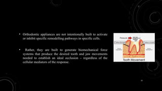 10
• Orthodontic appliances are not intentionally built to activate
or inhibit specific remodelling pathways in specific cells.
• Rather, they are built to generate biomechanical force
systems that produce the desired tooth and jaw movements
needed to establish an ideal occlusion – regardless of the
cellular mediators of the response.
 