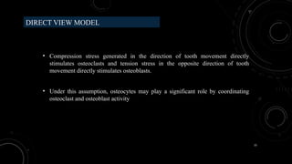 15
DIRECT VIEW MODEL
• Compression stress generated in the direction of tooth movement directly
stimulates osteoclasts and tension stress in the opposite direction of tooth
movement directly stimulates osteoblasts.
• Under this assumption, osteocytes may play a significant role by coordinating
osteoclast and osteoblast activity
 