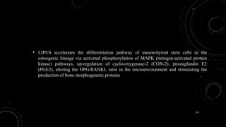 152
• LIPUS accelerates the differentiation pathway of mesenchymal stem cells in the
osteogenic lineage via activated phosphorylation of MAPK (mitogen-activated protein
kinase) pathways, up-regulation of cyclo-oxygenase-2 (COX-2), prostaglandin E2
(PGE2), altering the OPG/RANKL ratio in the microenvironment and stimulating the
production of bone morphogenetic proteins
 