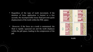 18
• Regardless of the type of tooth movement, if the
duration of force application is limited to a few
seconds, the incompressible tissue fluid prevents quick
displacement of the tooth within the PDL space.
• However, if the force on a tooth is maintained, the
fluid is rapidly squeezed out and the tooth displaces
within the pdl space, leading to the compression of the
pdl.
Proffit
 