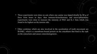 28
• These experiments were done on cats where one canine was tipped distally by 80 g of
force from hours to days, then immuno-histochemistry and micro-photometry
experiments were done to measure the intensity of PGE and IL-1 beta which was
found to be highest on the tension side.
• Other cytokines which are also involved in the acceleration of tooth movement are
RANKL, which is a membrane-bound protein on the osteoblasts that bind to the rank
on the osteoclasts and causes osteoclastogenesis .
 